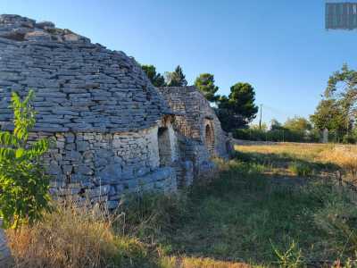 ...un tempo adibiti ad alloggio per i contadini, stalle e deposito per i raccolti